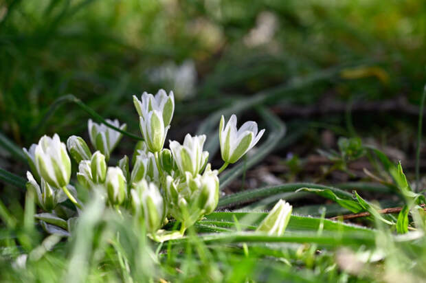 В Гидрометцентре рассказали о погоде на полуострове в годовщину "Крымской весны"
