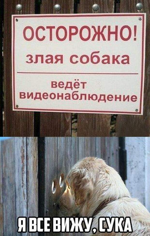 Подборка картинок. Вечерний выпуск (56 фото)