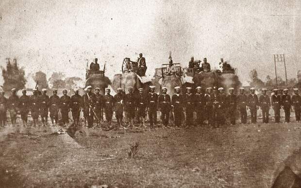 Боевые слоны использовались тайской армией в сражениях еще в 1885 году Боевые слоны использовались тайской армией в сражениях еще в 1885 году