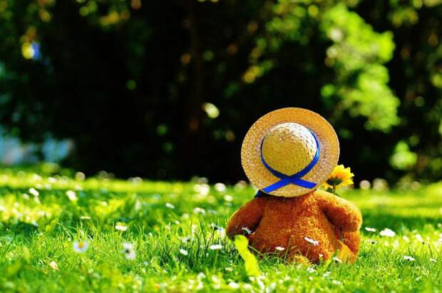 Фото: pixabay.com