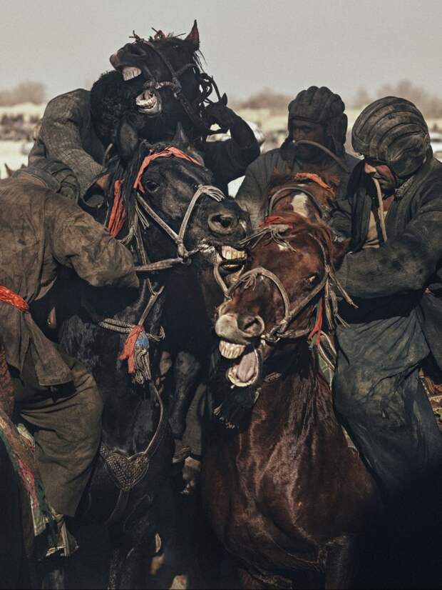 shortlist fotokonkursa Sony World Photography Awards 3