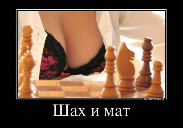 Демотиваторы и мотиваторы. Демотиваторы и веселые картинки_22-01-2013