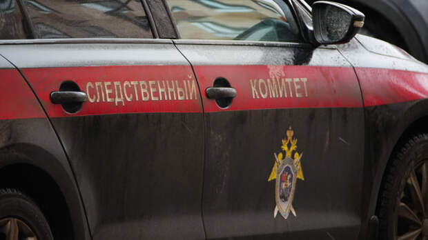 Фигурантке дела о похищении подростка в Красноярске предъявили обвинение