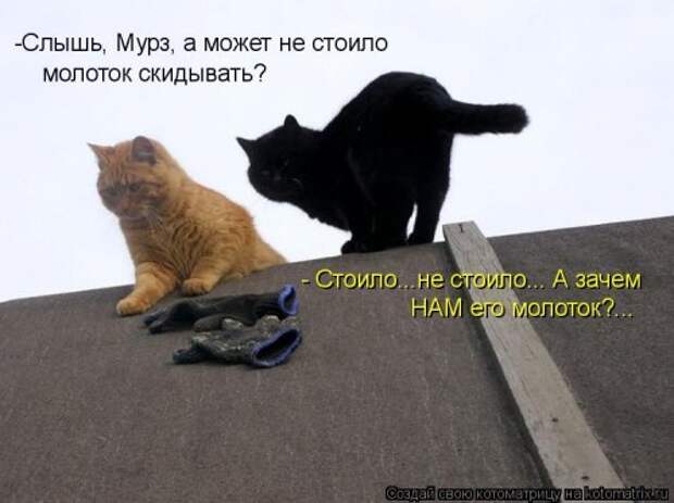 Новая котоматрица (39 фото)