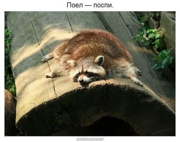 Приколы Приколы