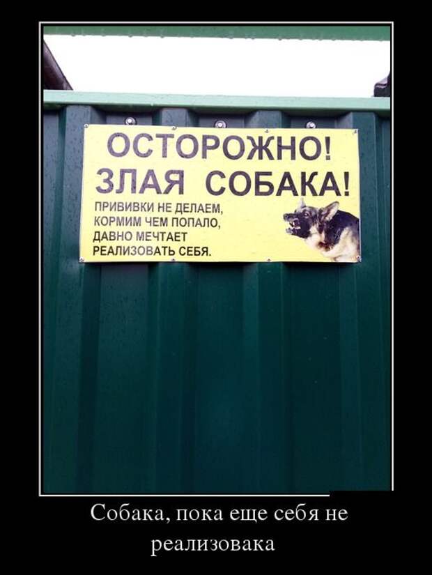 Забавные демотиваторы для веселья (11 фото) Забавные демотиваторы для веселья (11 фото)