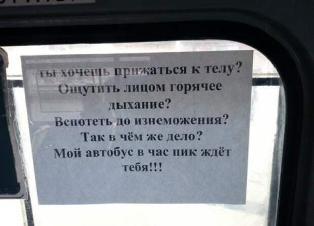Картинки для улыбнуться Картинки для улыбнуться