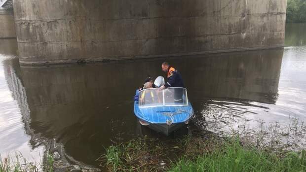 Двое детей утонули в реке Бык под Курском