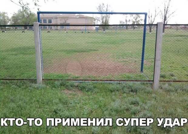 Смешные картинки с надписями прикол, юмор