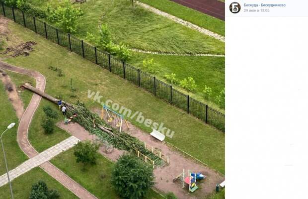 С детской площадки на Бескудниковском убрано упавшее дерево