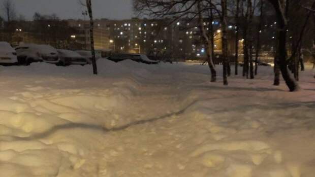 Депутат Ананов назвал традиционной проблему с уборкой снега в Петербурге