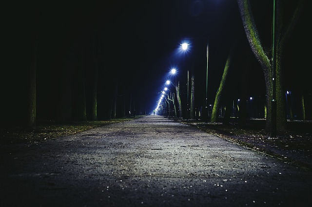 Фото: pixabay