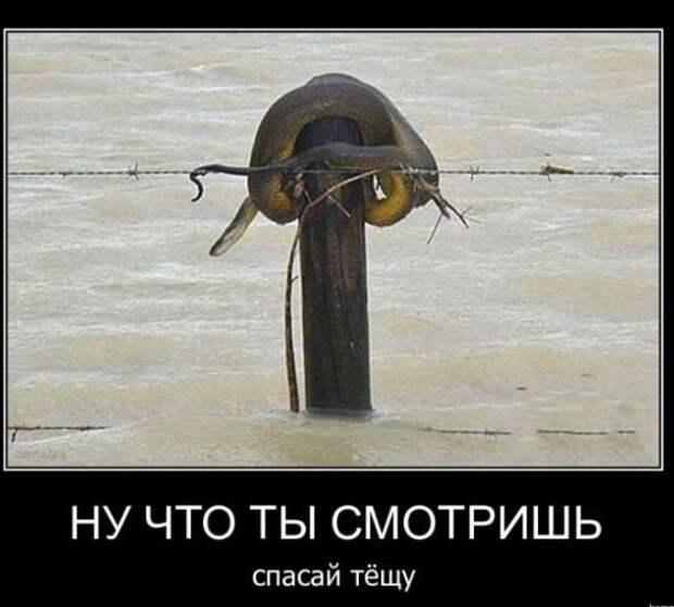 Подборка классных демотиваторов № 108