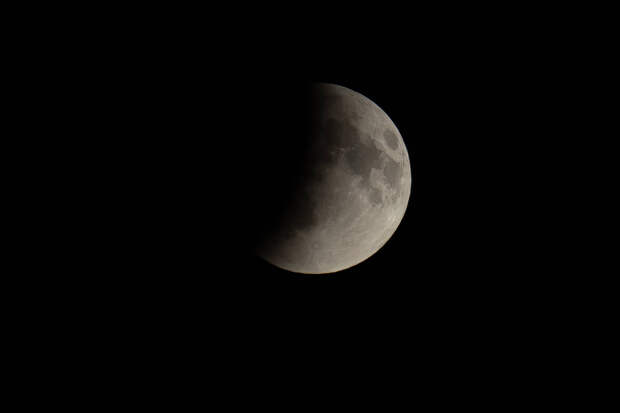 Маск призвал к масштабному возвращению на Луну