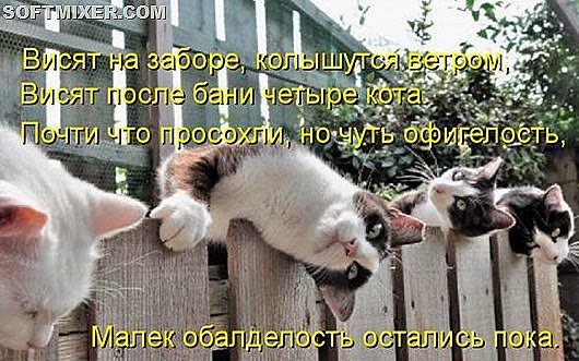 a0d1df27b6e05e70a5636d98500_prev