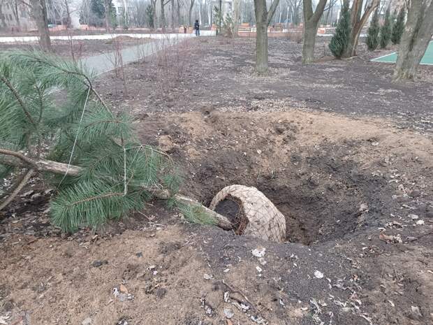 Парк Металлург, Ленинский район