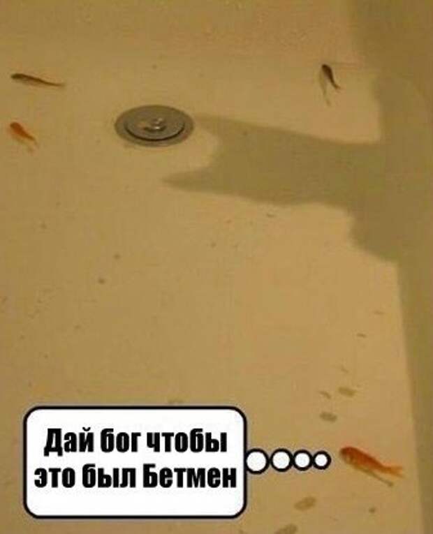 Классные картинки и фото приколы (45 шт)