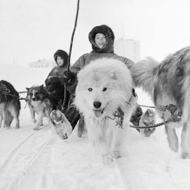 Фото из СССР: 1970-е 70-е, ностальгия, фото