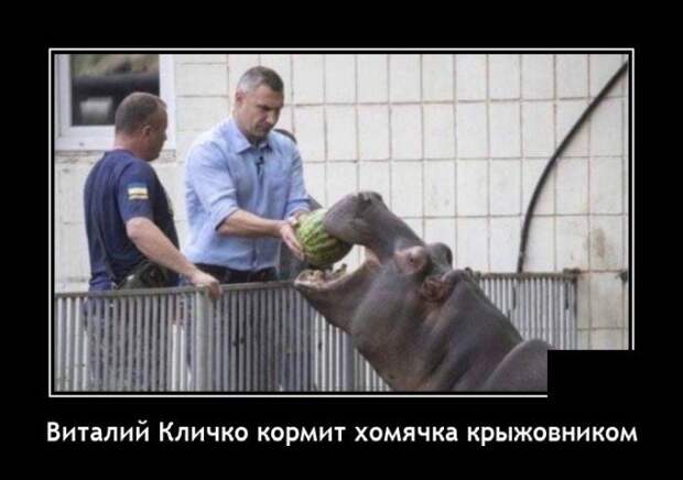 Демотиватор про Кличко