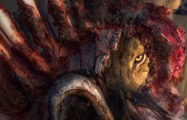 Фото © Panos Laskarakis