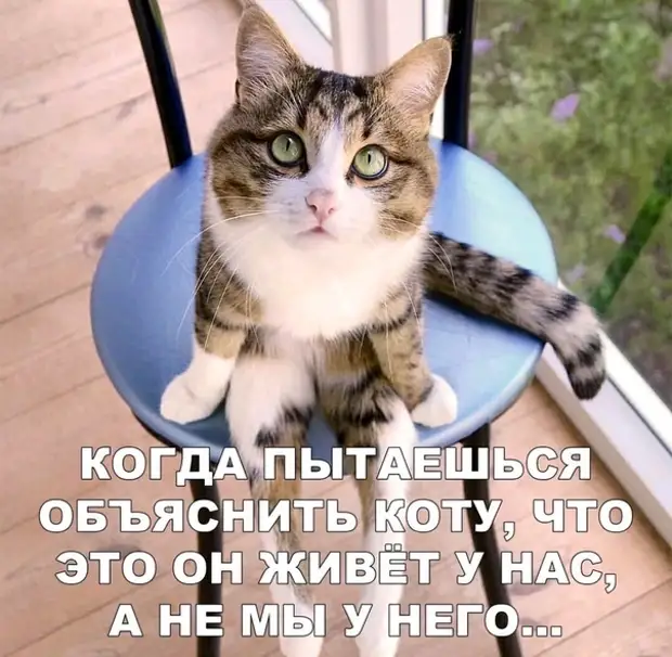 Русская речь без мата превращается в доклад когда, поиграем, субботу, почему, упаковке, очень, домой, будешь, чтобы, давай, воскресенье, огород, своей, жизни, любовницы, крадусь, кошка, возвращаюсь, стараюсь, звенеть