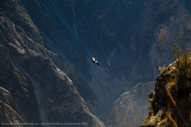 colca07 Спускаемся в глубочайший каньон на Земле