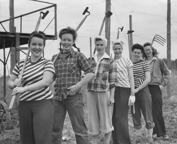 Уборка урожая, 1943 год.