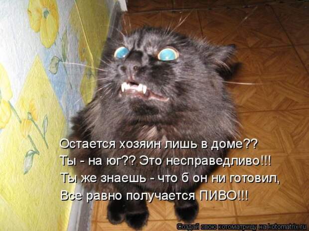 Мысли вслух :)
