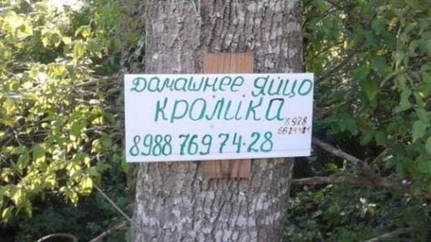 Очередная подборка смешных надписей и объявлений