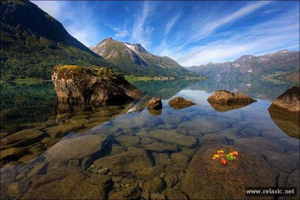 nature_048