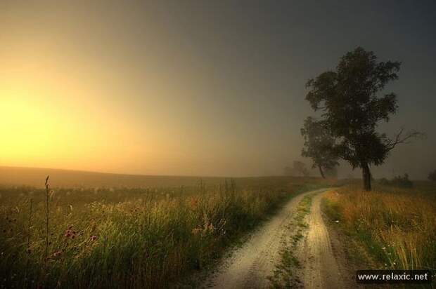 nature_021