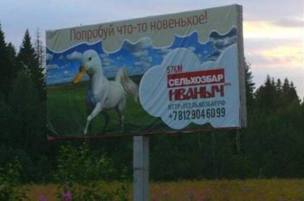Надписи,объявления