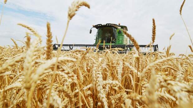 https://www.stratfor.com/sites/default/files/styles/stratfor_full/public/main/images/russian-wheat.jpg?itok=c5eSS4Dy