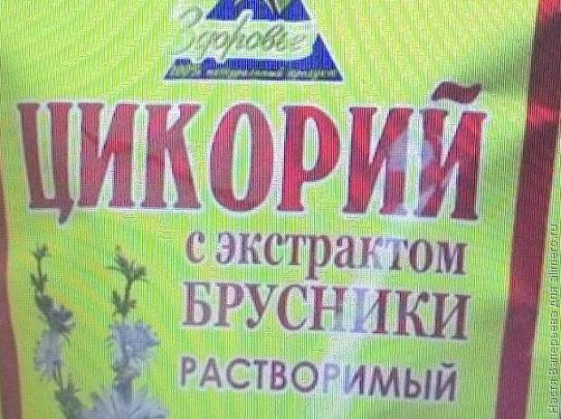 цикорий цикорий