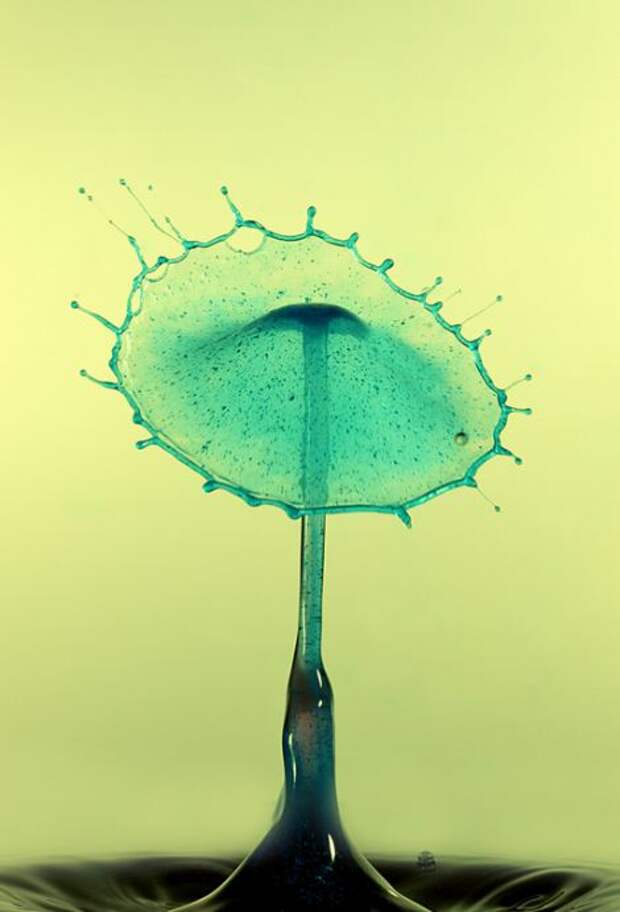 LIQUID SCULPTURES LIQUID SCULPTURES