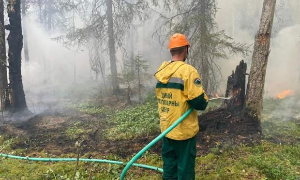 С 1 мая в лесах Архангельской области открывается пожароопасный сезон