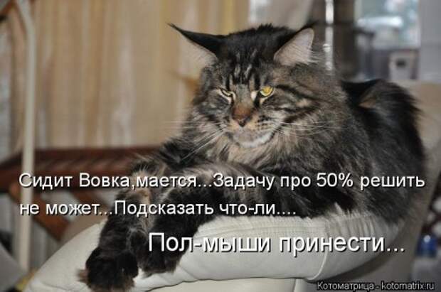 Новая котоматрица (39 фото)