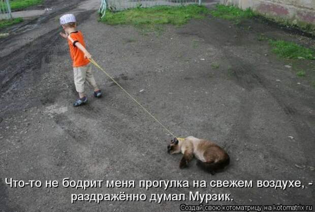 Мысли вслух :)