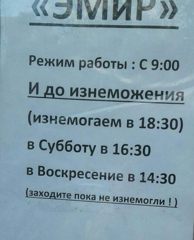 20 шедевров стенонаписания и столбообклеивания в виде самых неоднозначных объявлений