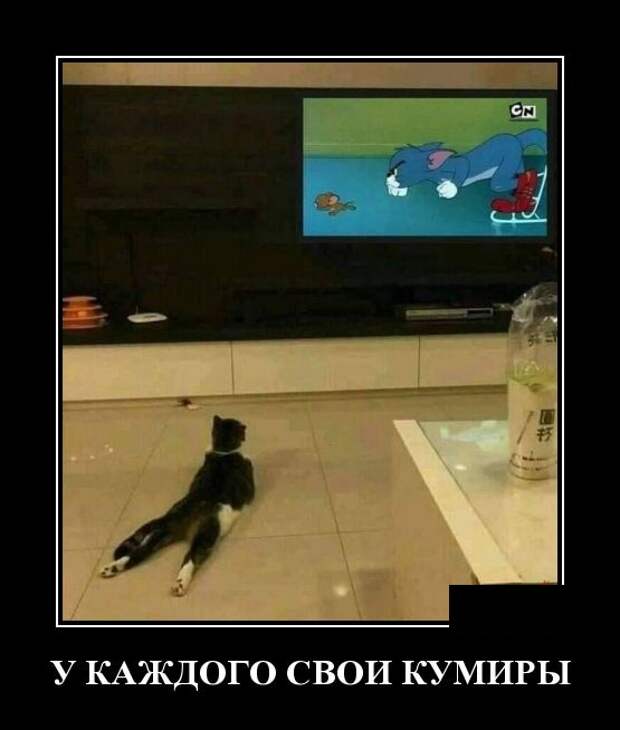 Демотиваторы (30 фото)