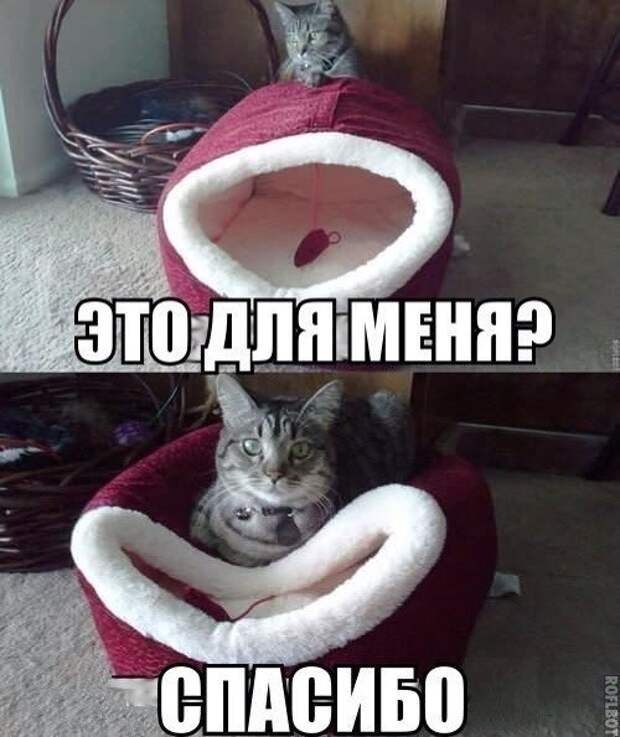 Это для меня? Спасибо!