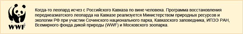 Уникальный представитель исчезающего вида 7 Врезка откор Уникальный представитель исчезающего вида
