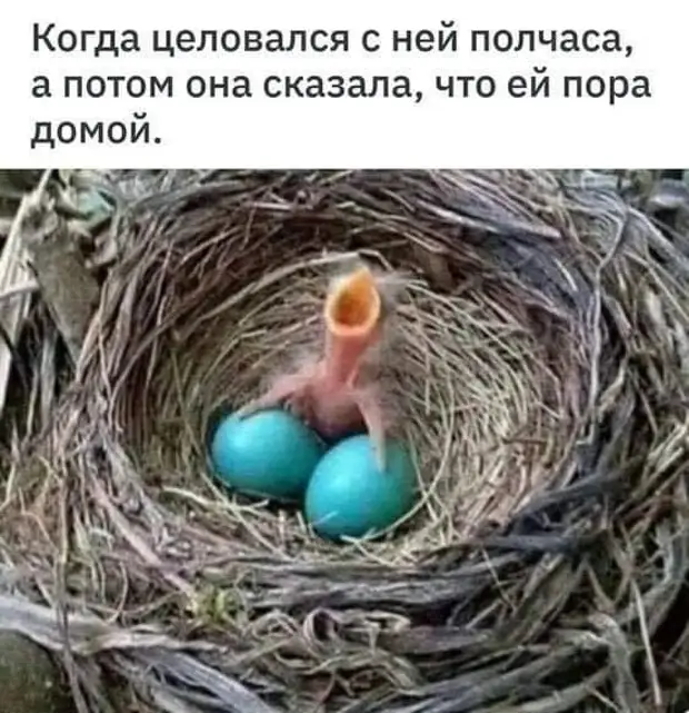 К психотерапевту идти уже поздно, к психиатру - страшно... Причём за него-то и страшно... К психотерапевту идти уже поздно, к психиатру - страшно... Причём за него-то и страшно... чтобы, четверть, спрашивает, Когда, классе, говорить, скажет, застукал, допроса, плохо, заплела, завтрак, приготовила, обручальное, постель, заправила, разбудила, детей, умыла, одела