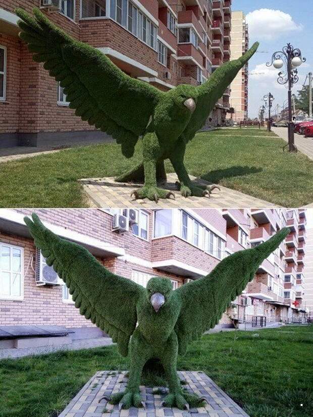 ФотоВсячина