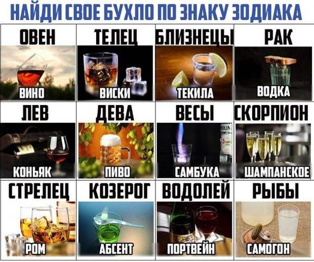 Лучшие приколы дня