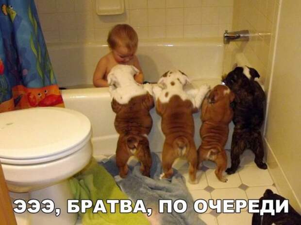 ПОЗИТИВНЫЙ ПОСТ+ 192