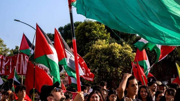 Более 100 тыс. человек собрались на митинг в поддержку Палестины в Гааге