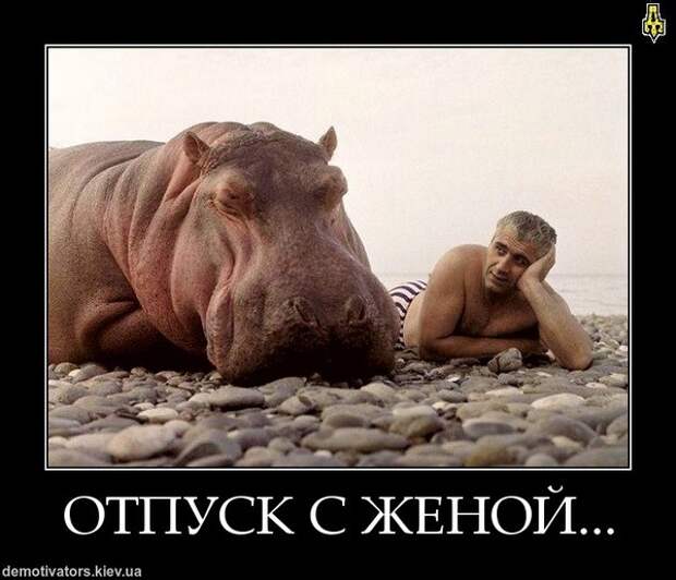 Демотиваторы и мотиваторы. Демотиваторы и веселые картинки_22-01-2013