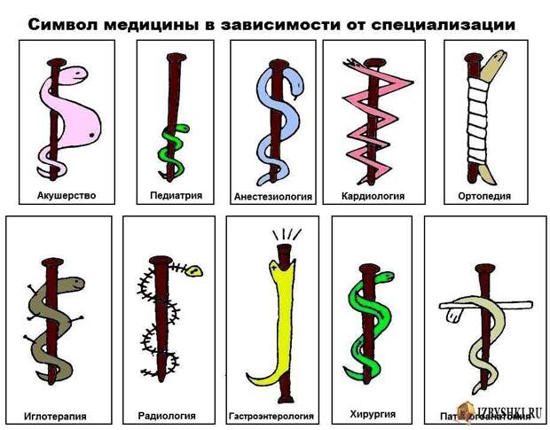 Символ медицины в зависимости от специализации Символ медицины в зависимости от специализации