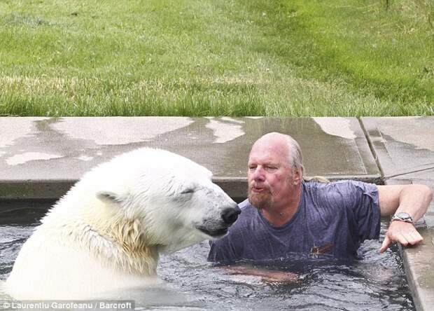 Вот уже более 20 лет мужчина дружит с белым медведем